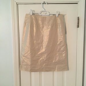 Banana Republic Skirt
